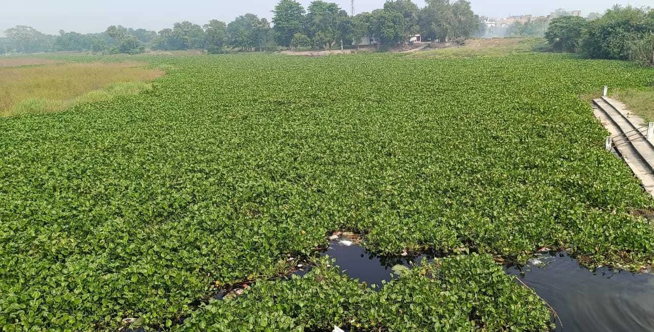 बलान व बुढ़ी गंडक नदी के किनारे माफियाओं का अवैध खनन बना छठव्रतियों के लिए बड़ी समस्या, पदाधिकारी व जनप्रतिनिधि के प्रति लोगों में आक्रोश 2