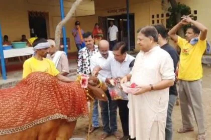 बेगूसराय के तेघरा गौशाला मे गोपाष्टमी के अवसर पर गायो का की गयी पूजन अर्चना 4