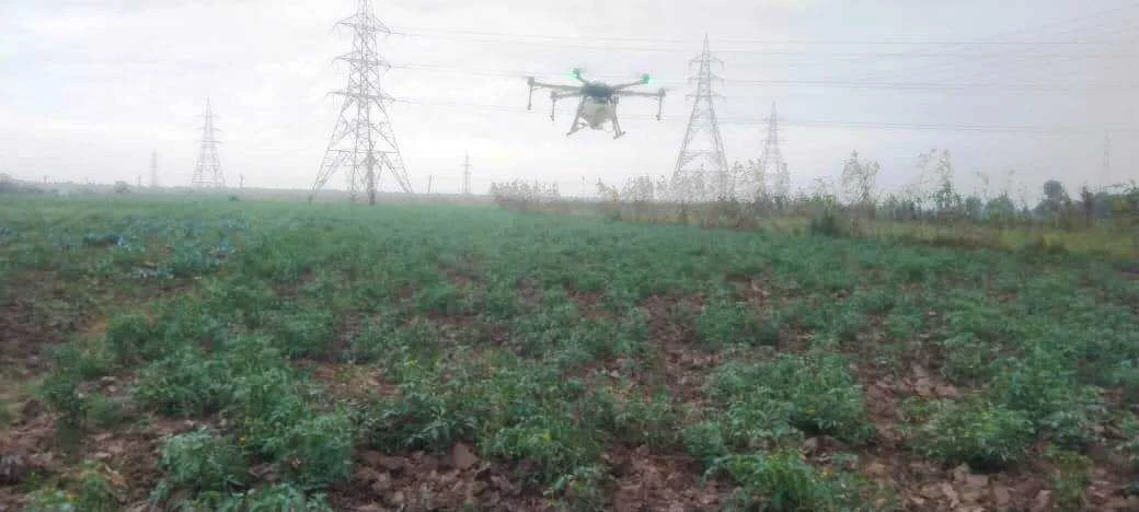 बरौनी प्रखंड में टमाटर की आधुनिक तकनीकी से खेती विषय पर किसान पाठशाला आयोजित 2