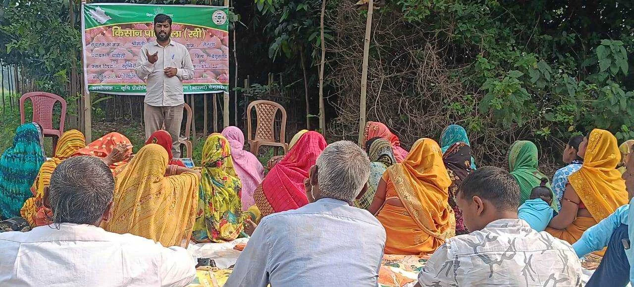 अब बरौनी में महकेगी स्ट्रॉबेरी की खुशबू, लगौली गाँव के किसानों ने सीखी खेती की नई तकनीक 2