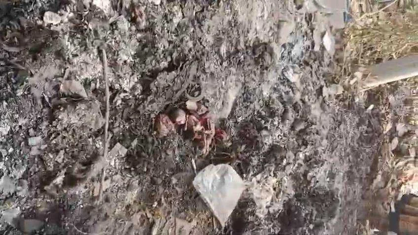 मानवता हुई शर्मसार: पटोरी में कूड़े के ढेर पर मिले दो नवजातों के अधजले शव, सीसीटीवी में कैद हुई हैवानियत 1