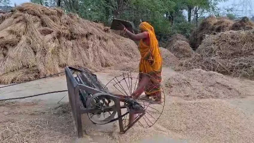 नालंदा: BCO की अनिश्चितकालीन हड़ताल से धान अधिप्राप्ति ठप, किसान और पैक्स अध्यक्ष परेशान 4