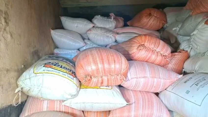 नालंदा: BCO की अनिश्चितकालीन हड़ताल से धान अधिप्राप्ति ठप, किसान और पैक्स अध्यक्ष परेशान 2