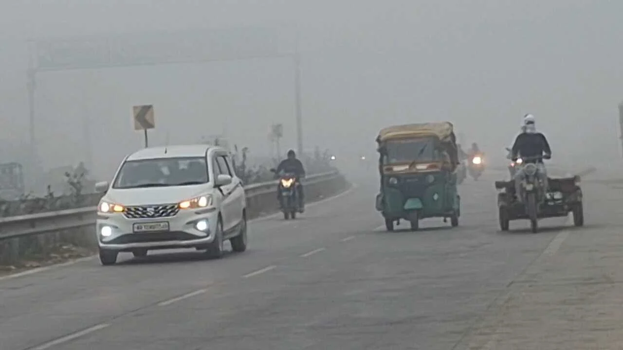 नववर्ष और क्रिसमस से पहले नालंदा में ठंड और कुहरे का कहर, घने कोहरे ने थामा जनजीवन 2