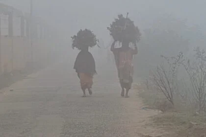नववर्ष और क्रिसमस से पहले नालंदा में ठंड और कुहरे का कहर, घने कोहरे ने थामा जनजीवन 22