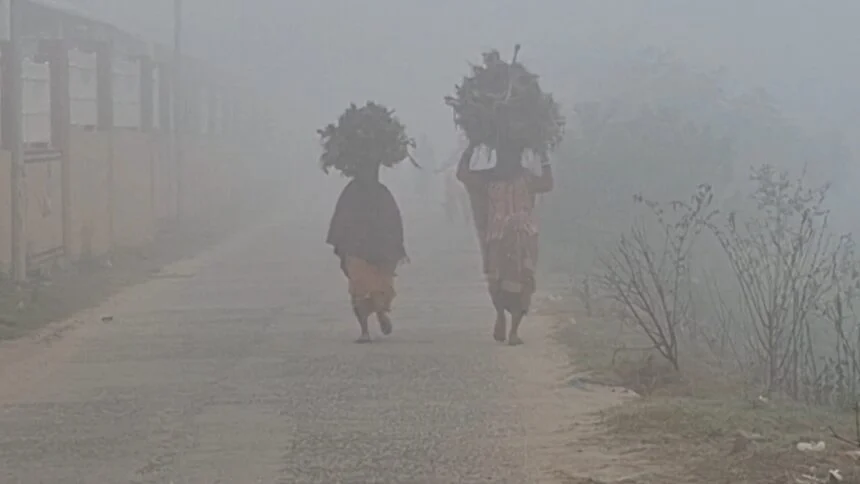 नववर्ष और क्रिसमस से पहले नालंदा में ठंड और कुहरे का कहर, घने कोहरे ने थामा जनजीवन 1