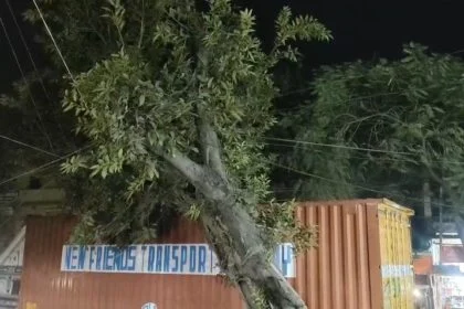 समस्तीपुर: मुसरीघरारी–पटोरी मुख्य सड़क पर बड़ा हादसा टला, जर्जर पाकड़ का पेड़ ट्रक पर गिरा, घंटों बाधित रहा यातायात 21