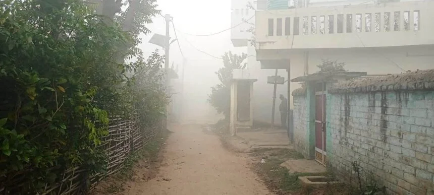 ठंड की कहर से जन-जीवन अस्त-व्यस्त, किसानों और पशुपालकों पर टूटी मुसीबतों की गाज 1