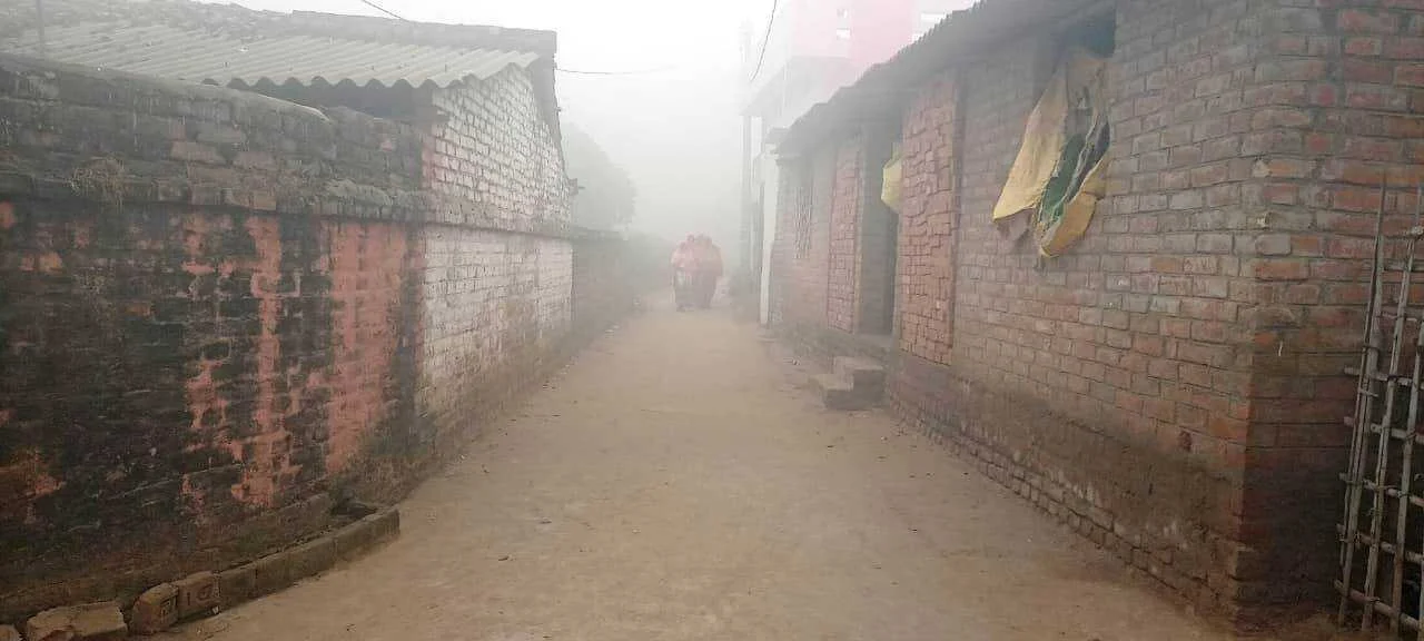 ठंड की कहर से जन-जीवन अस्त-व्यस्त, किसानों और पशुपालकों पर टूटी मुसीबतों की गाज 2