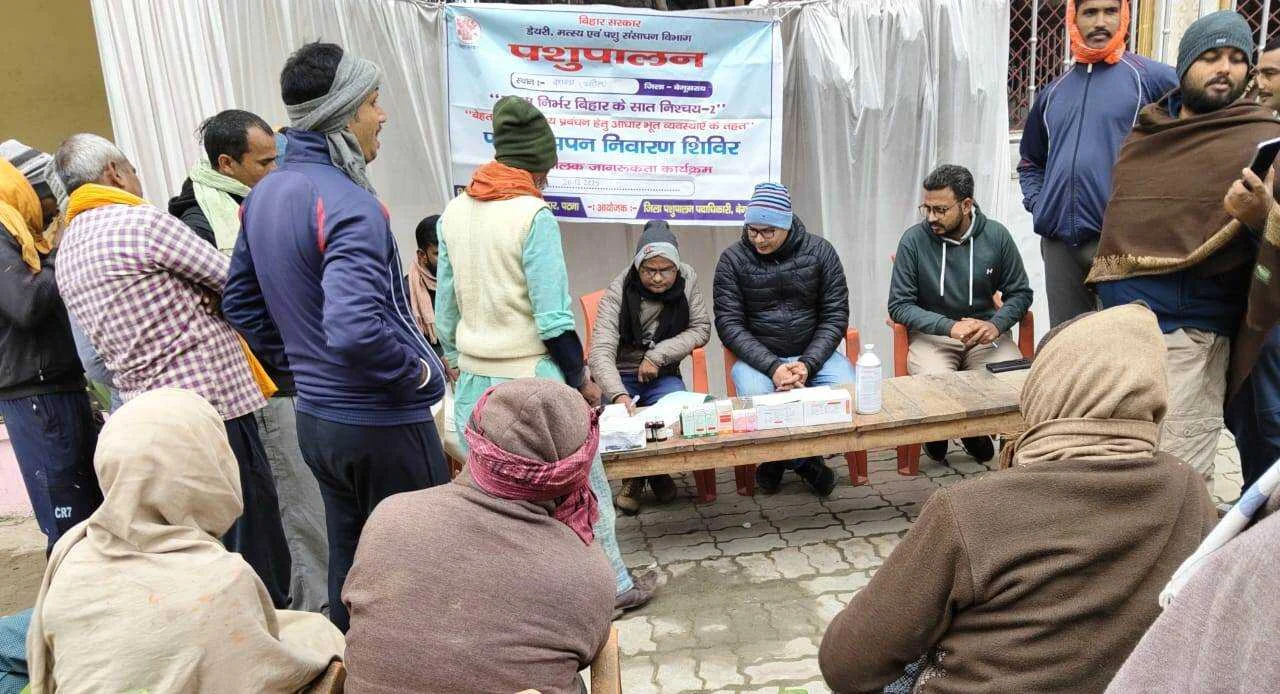 बछवाड़ा में सात निश्चय-2 के तहत पशु बांझपन चिकित्सा शिविर का आयोजन, 167 पशुओं का हुआ इलाज 2