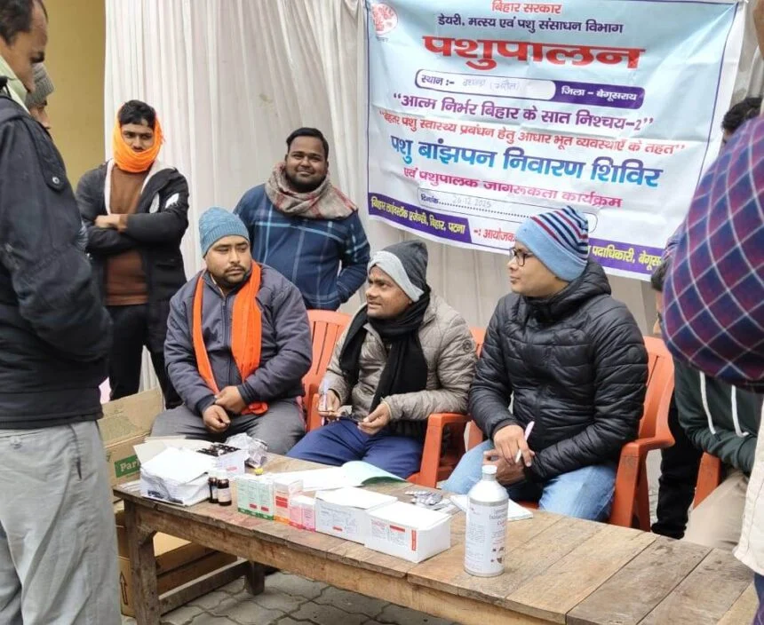 बछवाड़ा में सात निश्चय-2 के तहत पशु बांझपन चिकित्सा शिविर का आयोजन, 167 पशुओं का हुआ इलाज 1