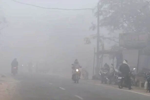 समस्तीपुर में कुदरत का कहर: 27 साल बाद पड़ी ऐसी कड़ाके की ठंड, पछुआ हवाओं ने बढ़ाई कनकनी 9