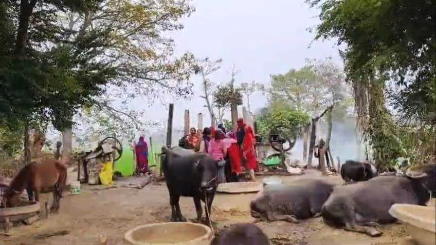 बेगूसराय में आग का तांडव; रामदीरी महाजी टोला में कई घर खाक, एक दर्जन मवेशियों की जलकर मौत 3
