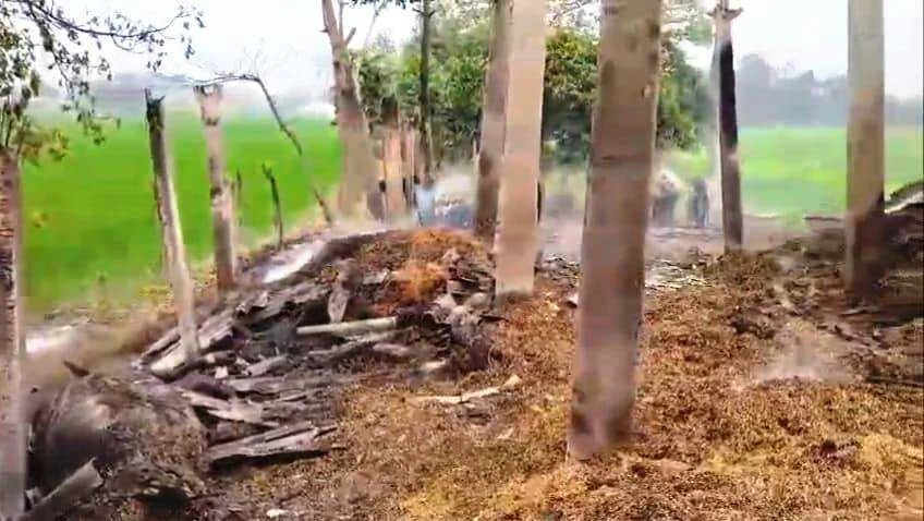 बेगूसराय में आग का तांडव; रामदीरी महाजी टोला में कई घर खाक, एक दर्जन मवेशियों की जलकर मौत 2