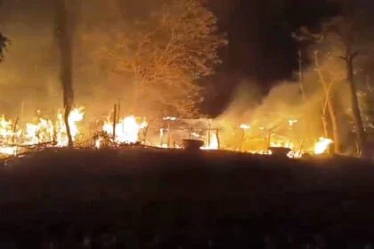 बेगूसराय में आग का तांडव; रामदीरी महाजी टोला में कई घर खाक, एक दर्जन मवेशियों की जलकर मौत 20