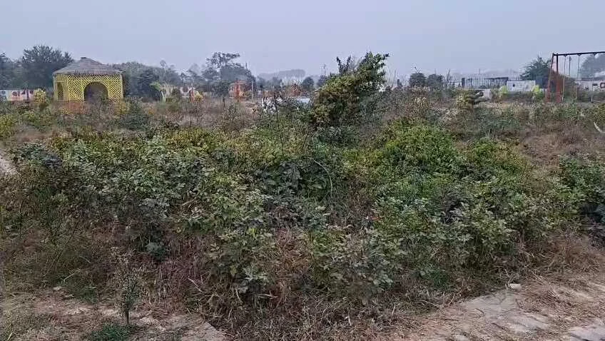 नालंदा के नानद गांव में विकास का दावा फेल, CM के सामने चमका, जनता के सामने उजड़ा, गोद लिया गांव भी बदहाल 3