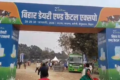 बेगूसराय में बिहार डेयरी एंड कैटल एक्सपो का भव्य आगाज़, 15 करोड़ का मुर्रा भैंसा बना आकर्षण 30