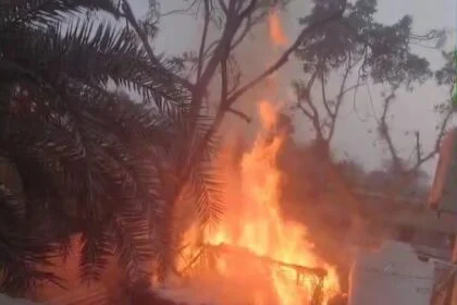 वीरपुर में शॉर्ट सर्किट का कहर: फुस के घर में लगी भीषण आग, एक बकरी की जलकर मौत; अनाज-बर्तन समेत हजारों की संपत्ति राख 21