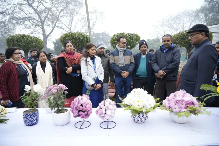 पूसा कृषि विश्वविद्यालय में 'गुलदाउदी फील्ड डे' का भव्य आयोजन; 150 से अधिक किस्मों का लगा जमावड़ा 1