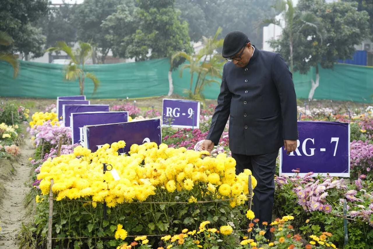 पूसा कृषि विश्वविद्यालय में 'गुलदाउदी फील्ड डे' का भव्य आयोजन; 150 से अधिक किस्मों का लगा जमावड़ा 4