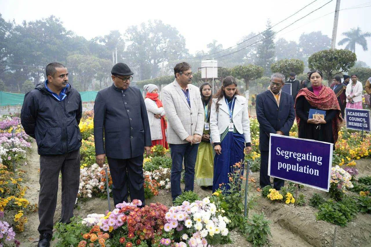 पूसा कृषि विश्वविद्यालय में 'गुलदाउदी फील्ड डे' का भव्य आयोजन; 150 से अधिक किस्मों का लगा जमावड़ा 3