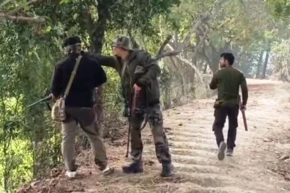 नालंदा में नीलगायों के आतंक पर प्रशासन का प्रहार: तीन शूटरों ने 8 नीलगायों को मार गिराया 26