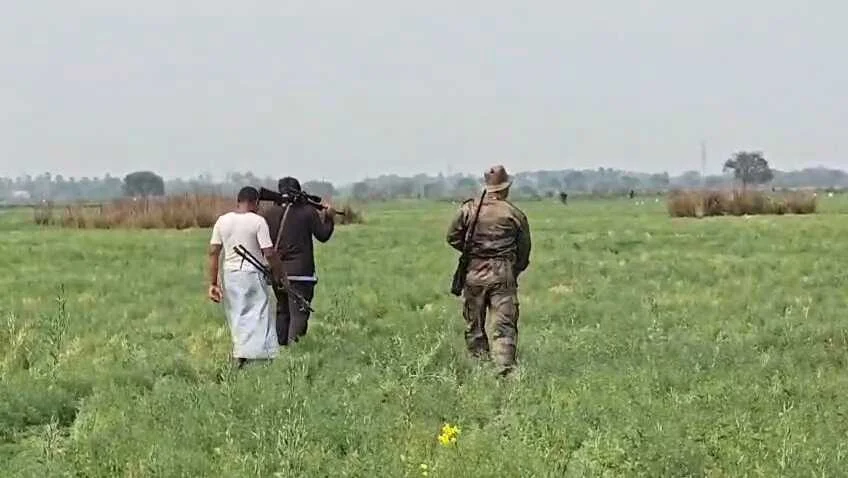 नालंदा: चंडी प्रखंड के बढौना पंचायत में घोड़परास का आतंक, 25 नीलगाय ढेर, किसानों ने ली राहत की सांस 4