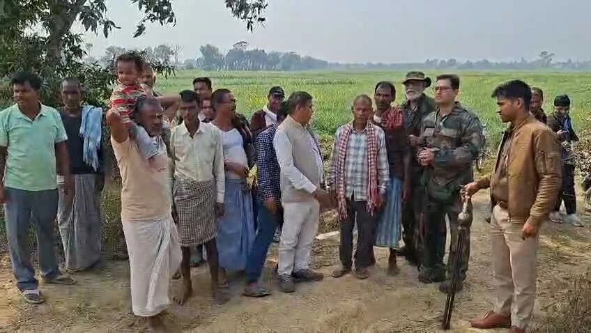 नालंदा: चंडी प्रखंड के बढौना पंचायत में घोड़परास का आतंक, 25 नीलगाय ढेर, किसानों ने ली राहत की सांस 2