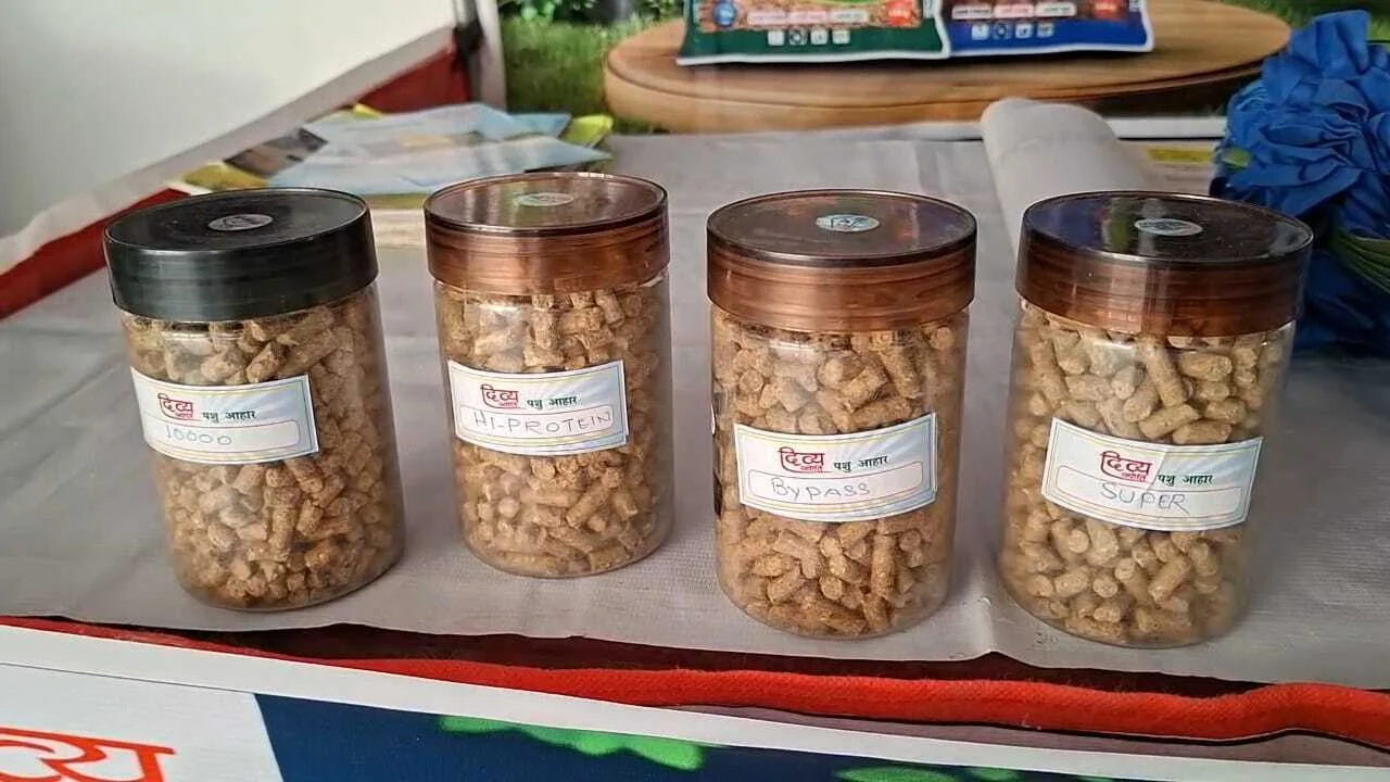 नालंदा: नूरसराय हॉर्टिकल्चर कॉलेज में स्वच्छ ऊर्जा महिला उद्यमिता मेला 2026 का आयोजन 3