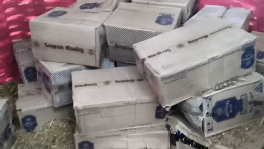 समस्तीपुर: भूसे और जलावन के ढेर से निकली भारी मात्रा में विदेशी शराब, 78 कार्टन बरामद 2