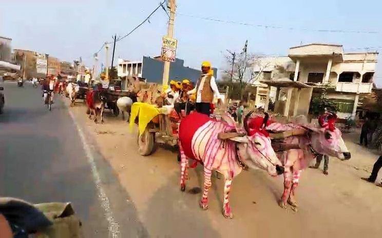 समस्तीपुर में दिखी 80 के दशक की झलक: महंगी कारों को छोड़ 35 बैलगाड़ियों पर निकली बारात, देखने के लिए उमड़ी भीड़ 8