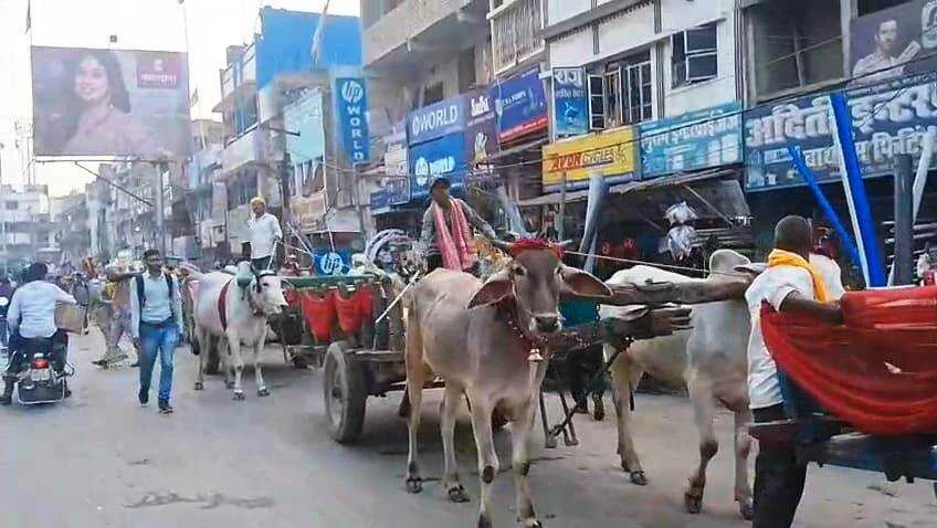 समस्तीपुर में दिखी 80 के दशक की झलक: महंगी कारों को छोड़ 35 बैलगाड़ियों पर निकली बारात, देखने के लिए उमड़ी भीड़ 2