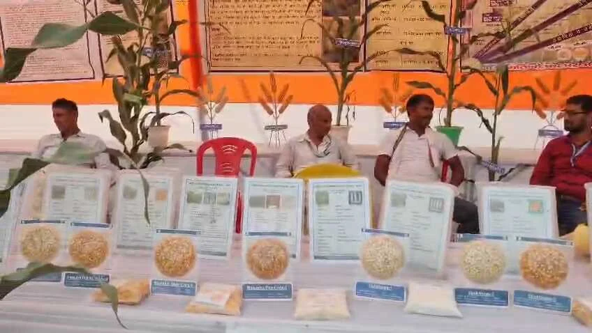 समस्तीपुर: किसान के बच्चे को भी शिक्षा जगत में आगे आने का अवसर प्रदान करेगा सर एम यू टीचर्स ट्रेनिंग कॉलेज 2