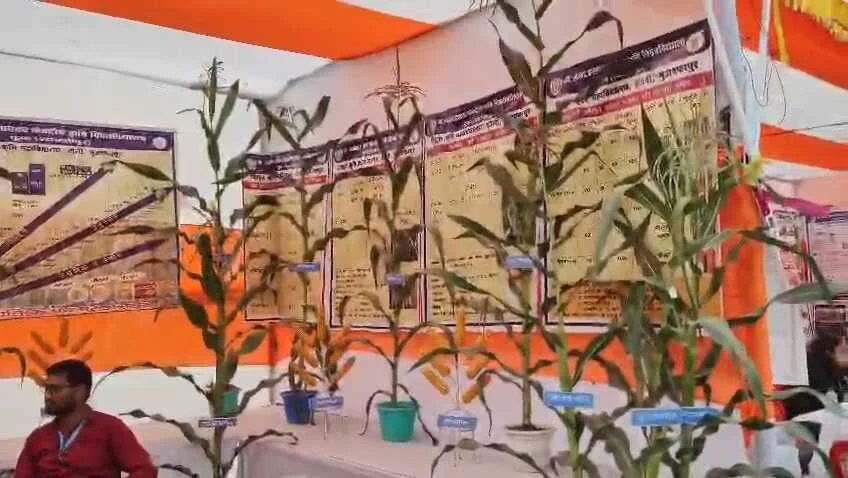 समस्तीपुर: किसान के बच्चे को भी शिक्षा जगत में आगे आने का अवसर प्रदान करेगा सर एम यू टीचर्स ट्रेनिंग कॉलेज 3