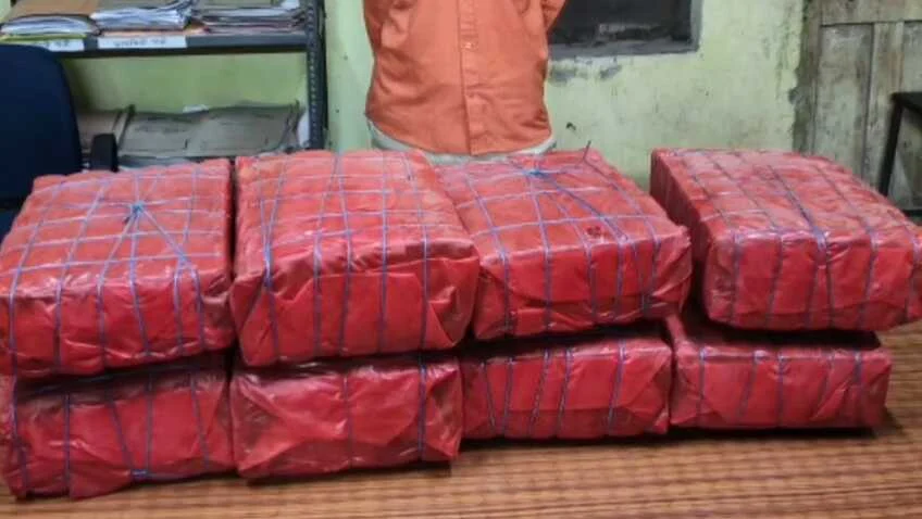 बेगूसराय में पुलिस की बड़ी करवाई, बोलेरो से 42 किलो गांजा बरामद, एक तस्कर गिरफ्तार 2