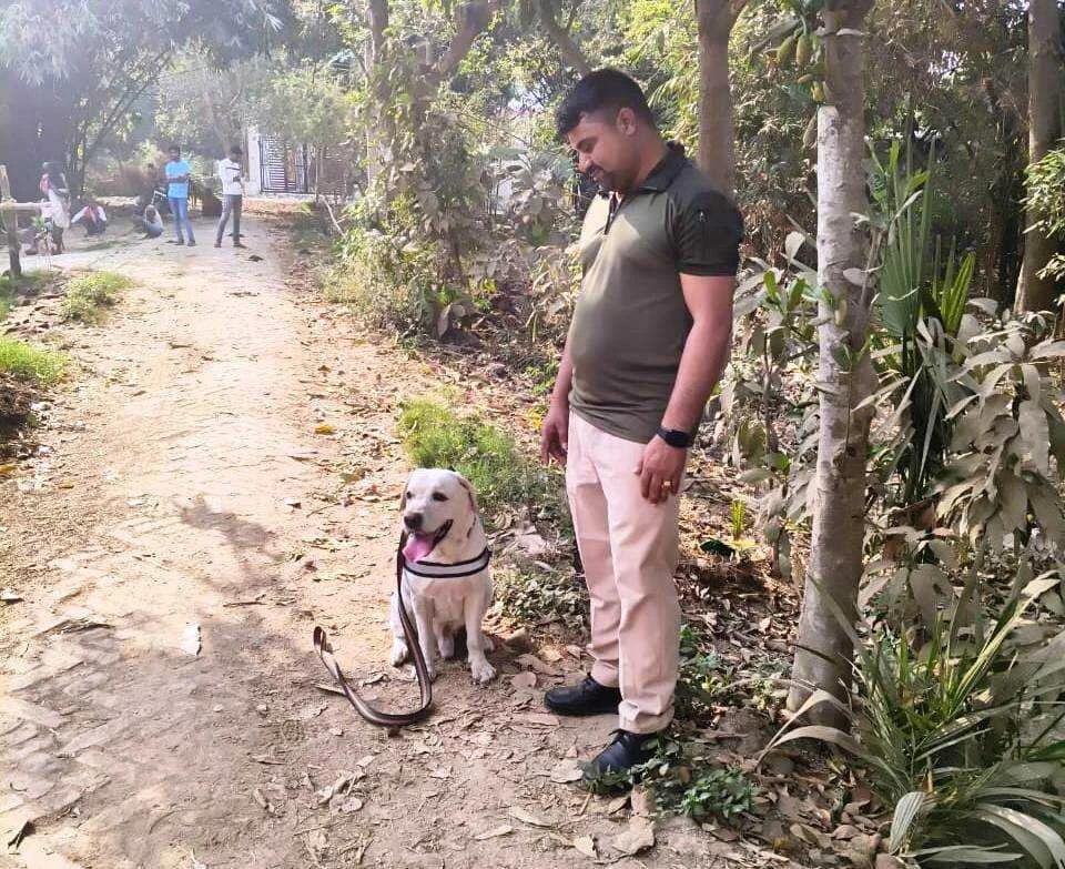 भगवानपुर में चोरों का दुस्साहस: वार्ड सदस्य के घर से लाखों के जेवरात और नकदी पार, इलाके में दहशत 2