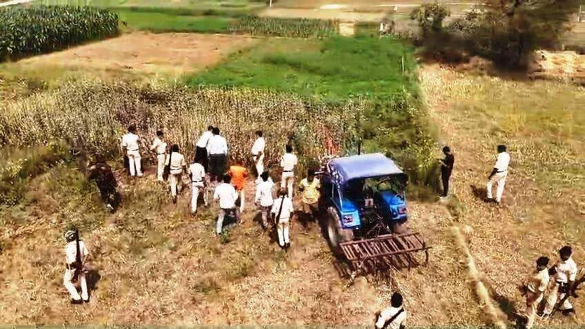 नालंदा: एक्साइज और पुलिस की संयुक्त करवाई, परवलपुर में 10 कट्ठा अफीम की खेती पर चला ट्रैक्टर; 7 पर प्राथमिकी दर्ज 2