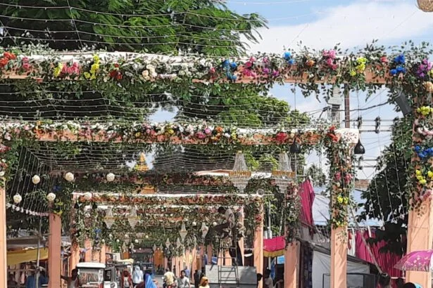 वीरपुर के भवानंदपुर में गूंजेगा संतमत का संदेश: दो दिवसीय जिला वार्षिक सत्संग अधिवेशन आज से, दुल्हन की तरह सजा पंडाल 3