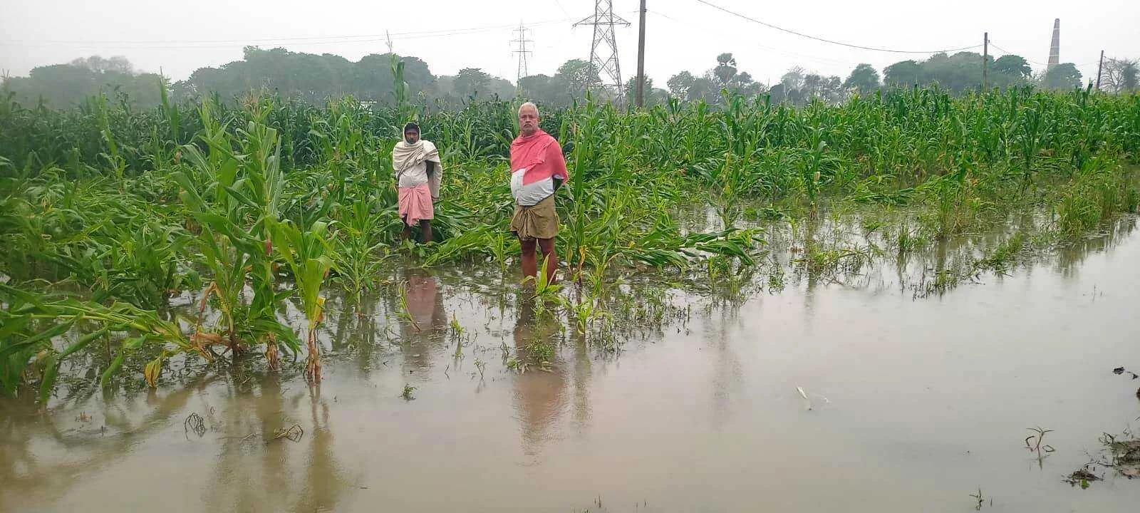 बेमौसम बारिश और आंधी ने तोड़ी किसानों की कमर, बेटियों की शादी और भविष्य की चिंता में डूबे अन्नदाता 3