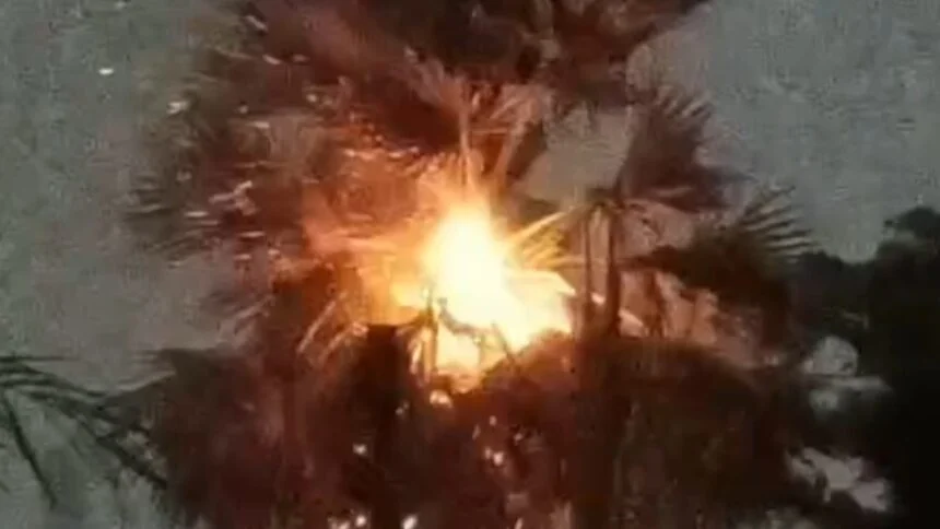 नालंदा में मौसम ने ली करवट, आंधी-बारिश के बीच वज्रपात से हड़कंप, सिपाह गांव में तार के पेड़ पर हुआ जोरदार वज्रपात, एक घायल 1