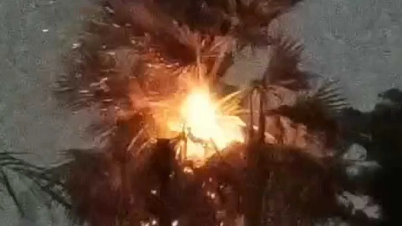 नालंदा में मौसम ने ली करवट, आंधी-बारिश के बीच वज्रपात से हड़कंप, सिपाह गांव में तार के पेड़ पर हुआ जोरदार वज्रपात, एक घायल 8