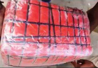 बेगूसराय पुलिस की बड़ी कामयाबी: 26 किलो गांजे के साथ खगड़िया के दो तस्कर गिरफ्तार 3