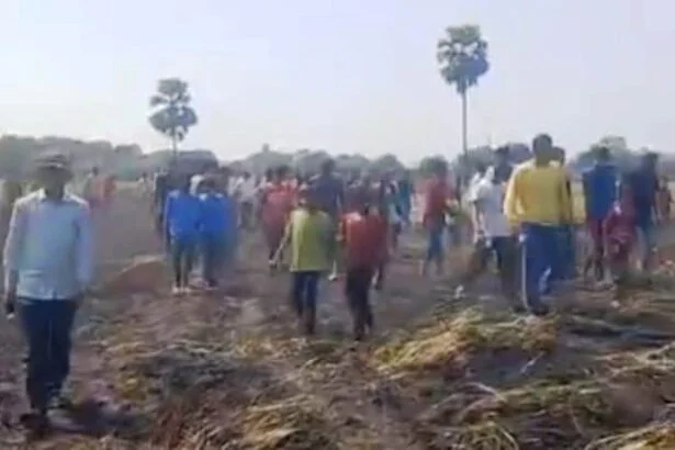 वीरपुर के सरौंजा बहियार में आग लगने से  4 बीघे की गेहूं की फसल जलकर राख 3