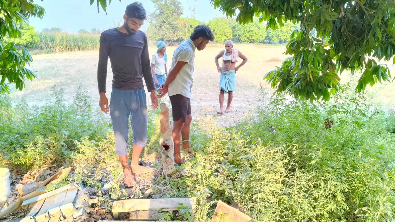चार मोटर पंप सहित बिजली तार पर किया चोरों ने हाथ साफ, किसानों में दहशत  2