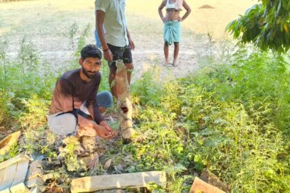 चार मोटर पंप सहित बिजली तार पर किया चोरों ने हाथ साफ, किसानों में दहशत  51