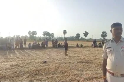 नालंदा: हरनौत के मुशहरी गांव में खेत से मिले कई जिंदा बम, इलाके में मची अफरा-तफरी,जांच में जुटी पुलिस 26