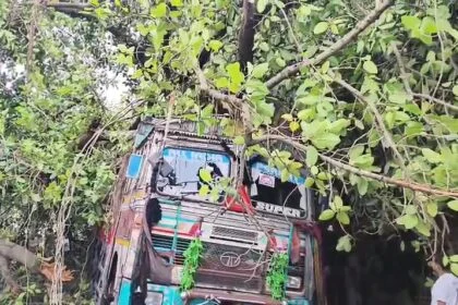 समस्तीपुर: तेज आंधी में 20 साल पुराना बरगद का पेड़ गिरा, रोसरा बाईपास मुख्य मार्ग जाम, आवागमन ठप 2