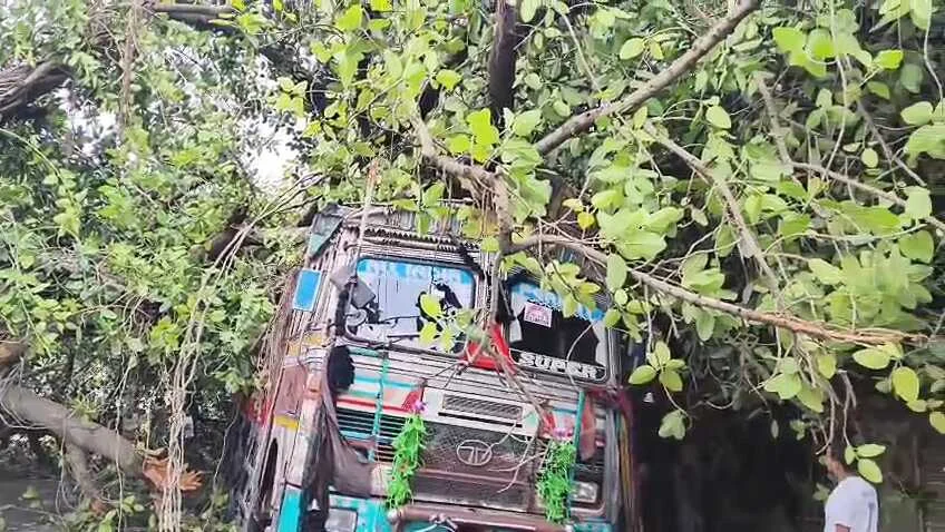 समस्तीपुर: तेज आंधी में 20 साल पुराना बरगद का पेड़ गिरा, रोसरा बाईपास मुख्य मार्ग जाम, आवागमन ठप 5
