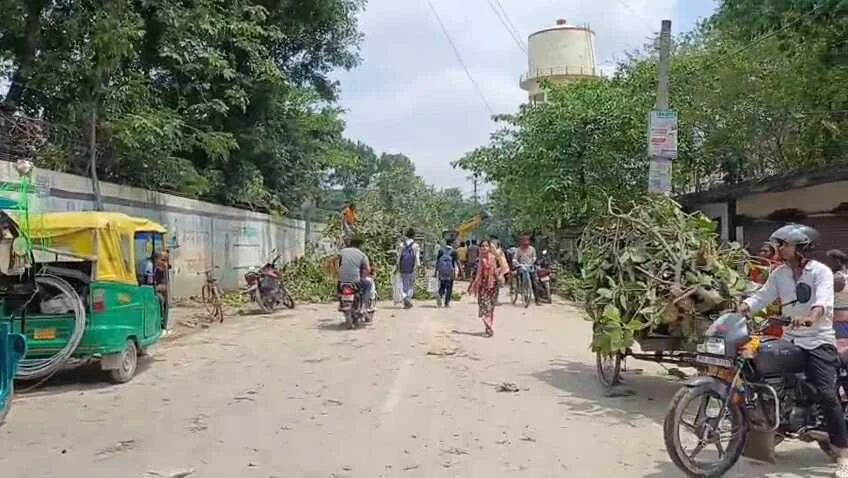 समस्तीपुर: तेज आंधी में 20 साल पुराना बरगद का पेड़ गिरा, रोसरा बाईपास मुख्य मार्ग जाम, आवागमन ठप 2