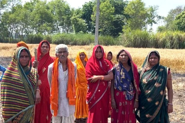 भगवानपुर में बिजली शॉर्ट सर्किट से तबाही: दरोगी, रामदास और संजीत समेत दर्जनों किसानों की फसलें जलकर हुईं खाक 5